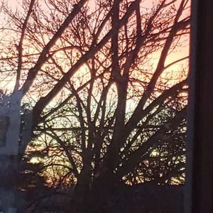 Meet your Posher, Arianna